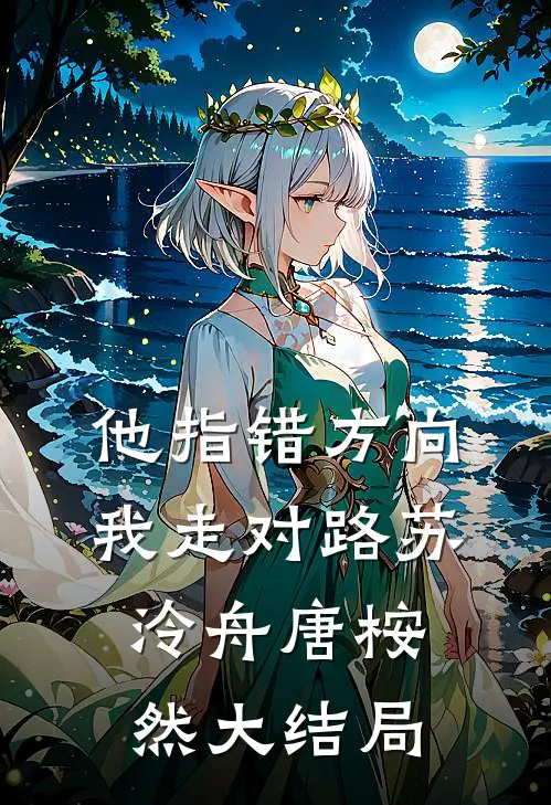 他指错方向，我走对路苏泠舟唐桉然大结局
