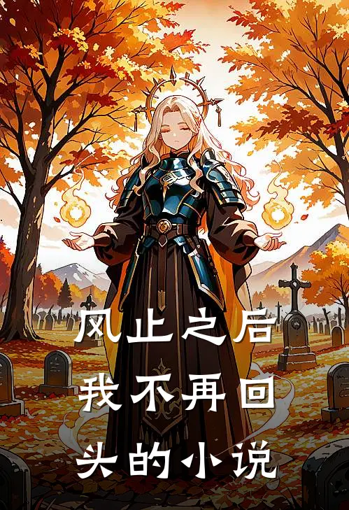 风止之后，我不再回头的小说