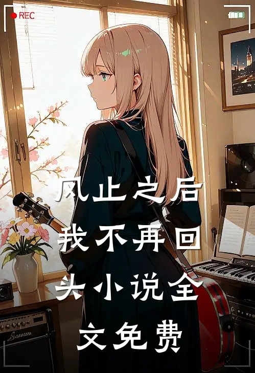 风止之后，我不再回头小说全文免费
