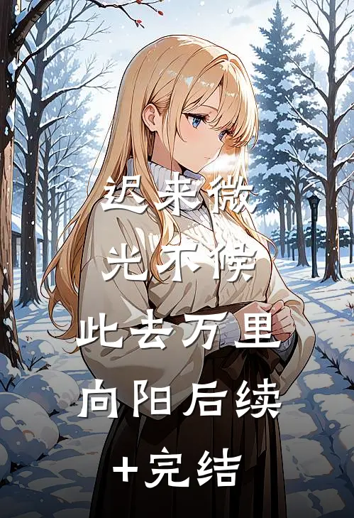 迟来微光不候，此去万里向阳后续+完结
