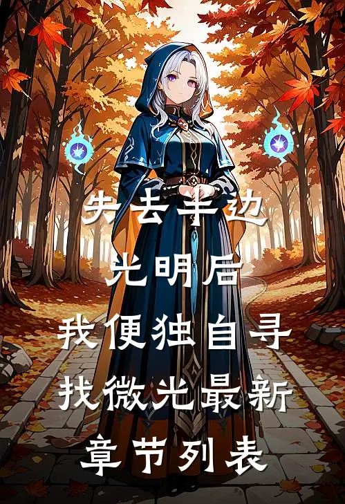失去半边光明后，我便独自寻找微光最新章节列表