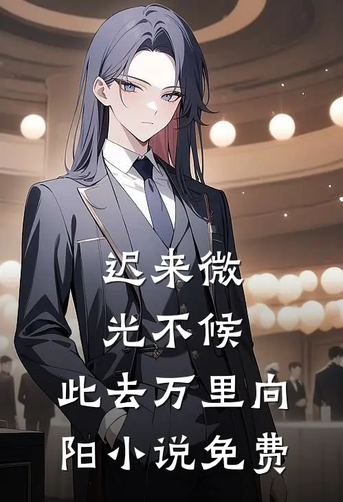 迟来微光不候，此去万里向阳小说免费