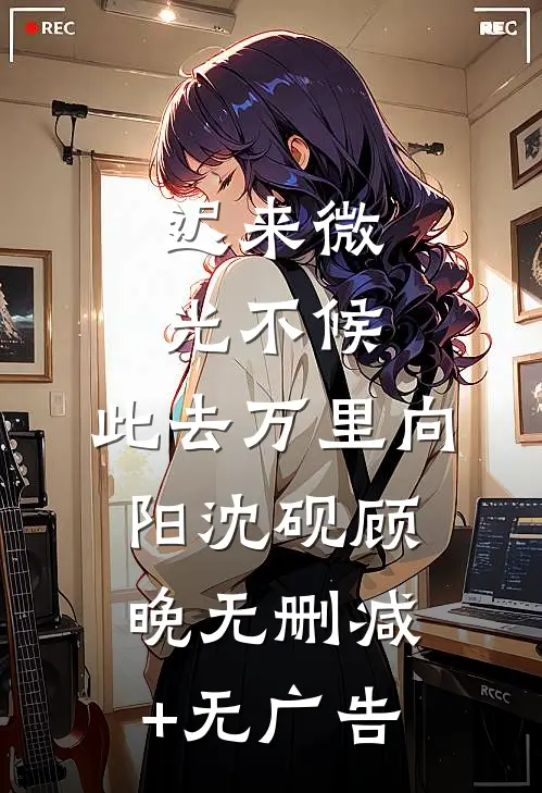 迟来微光不候，此去万里向阳沈砚顾晚无删减+无广告