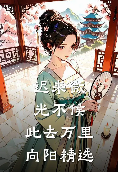 迟来微光不候，此去万里向阳精选