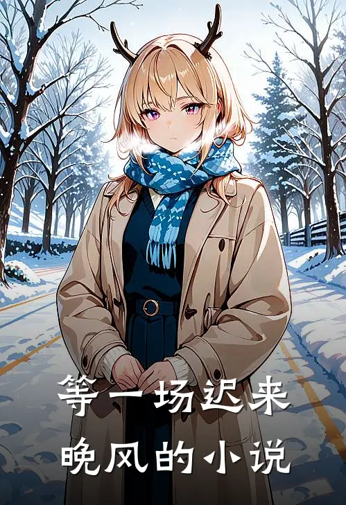 等一场迟来晚风的小说