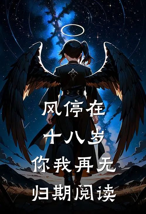 风停在十八岁，你我再无归期阅读
