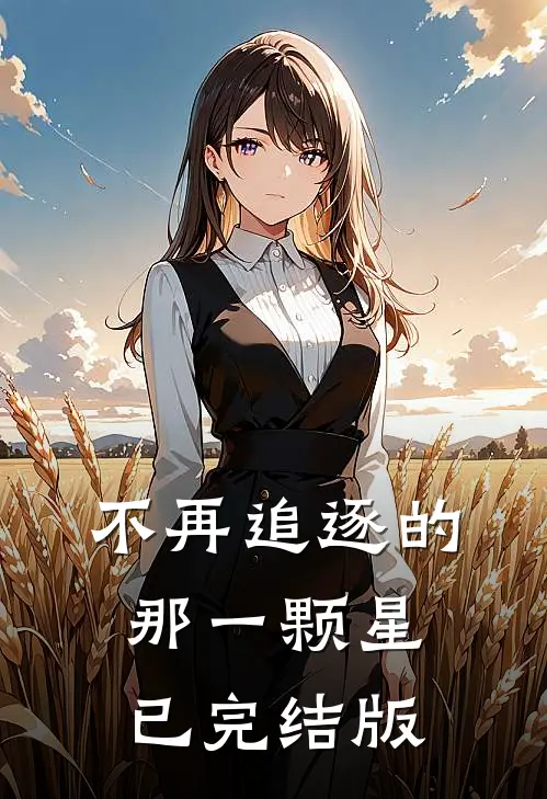 不再追逐的那一颗星已完结版