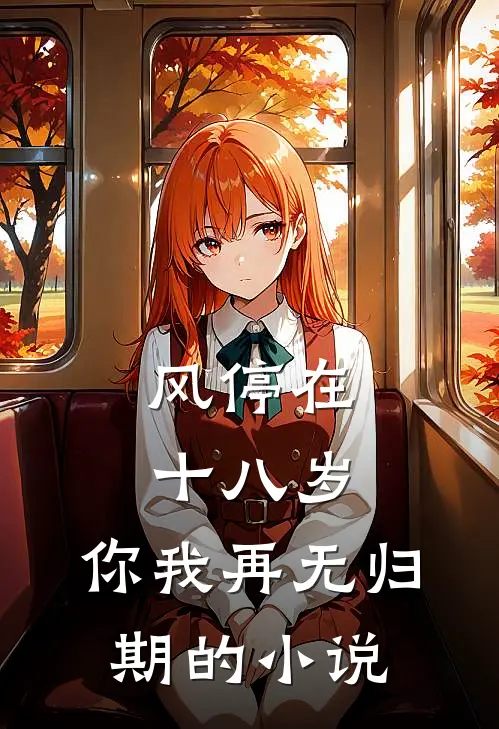 风停在十八岁，你我再无归期的小说