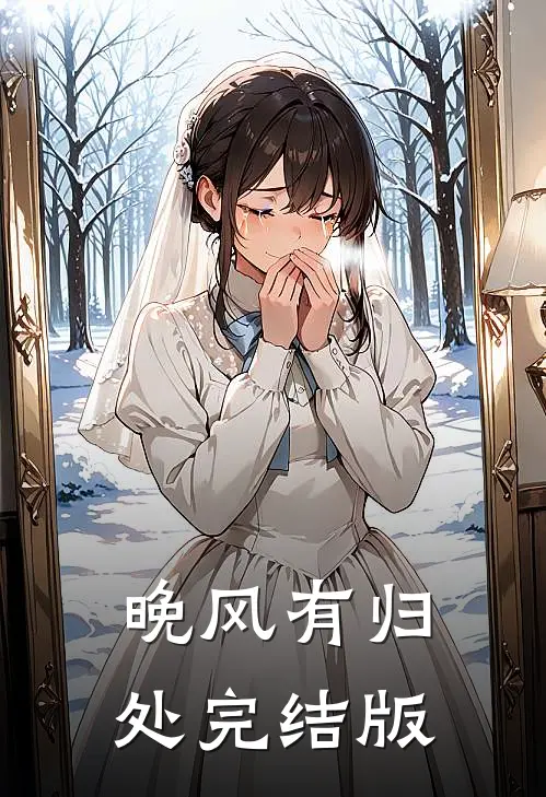 晚风有归处完结版