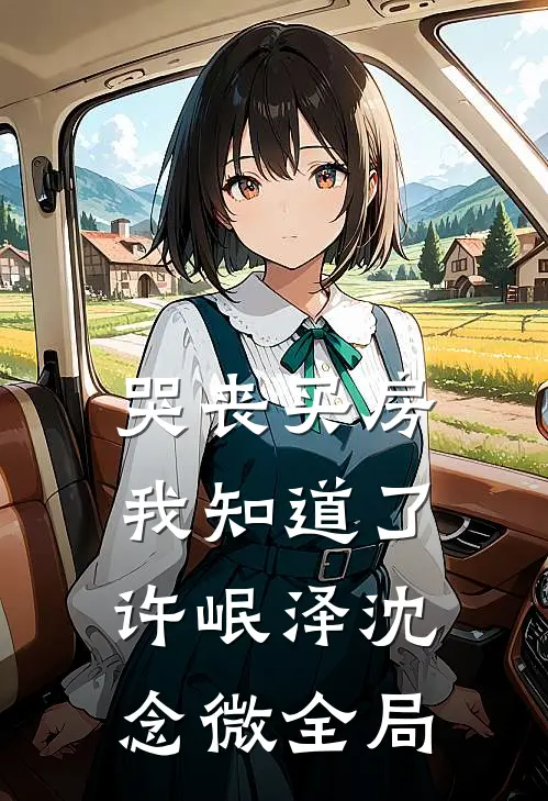 哭丧买房，我知道了许岷泽沈念微全局