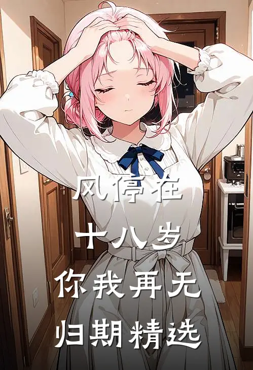风停在十八岁，你我再无归期精选