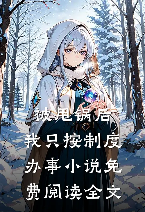 被甩锅后，我只按制度办事小说免费阅读全文