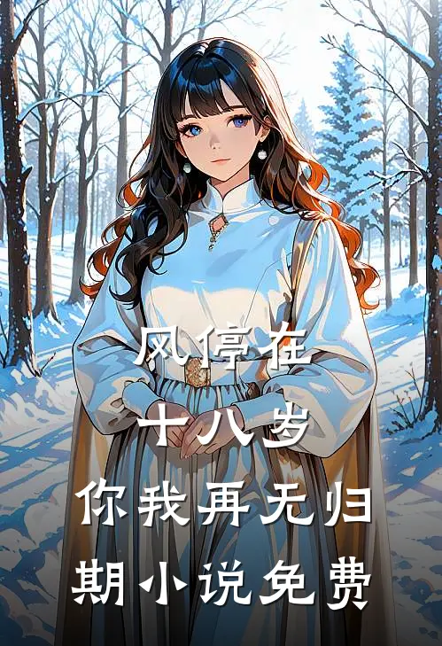 风停在十八岁，你我再无归期小说免费