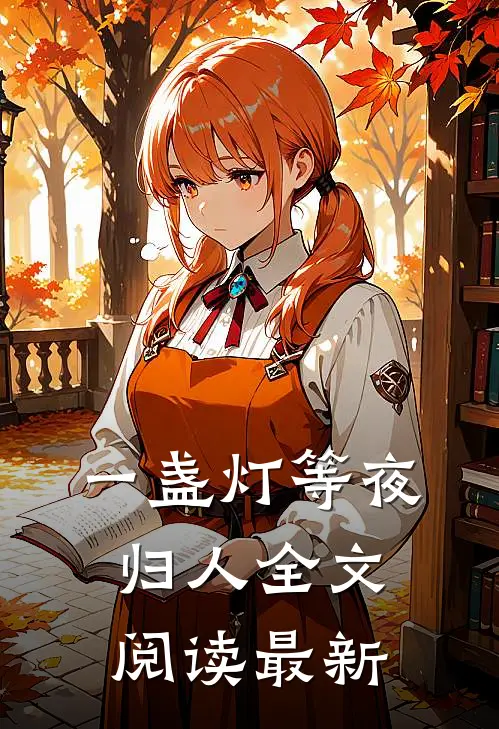 一盏灯等夜归人全文阅读最新