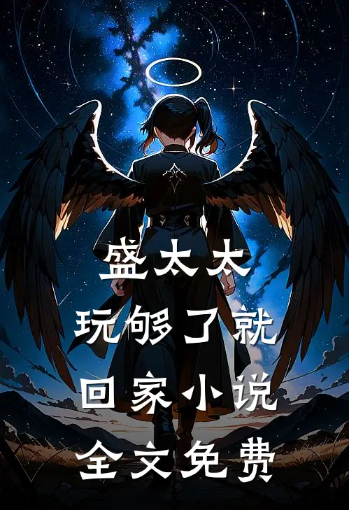 盛太太，玩够了就回家小说全文免费