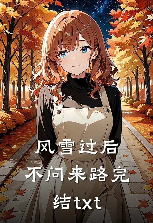 风雪过后，不问来路完结txt