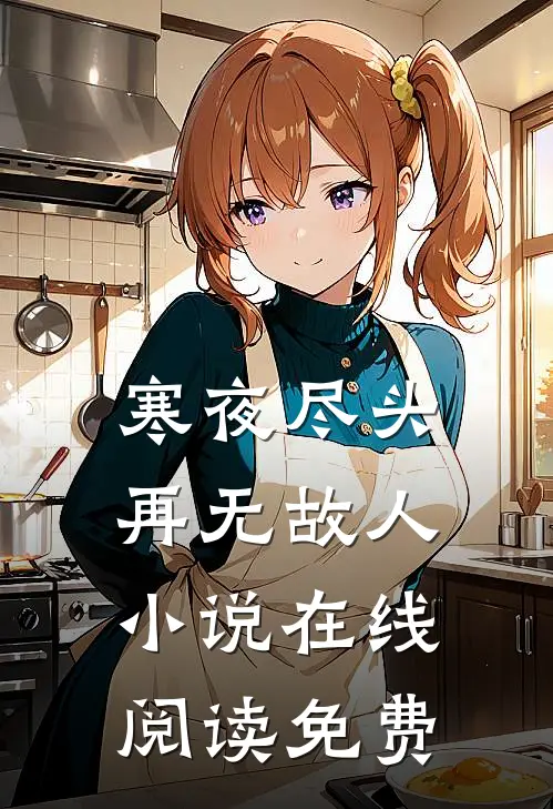 寒夜尽头，再无故人小说在线阅读免费