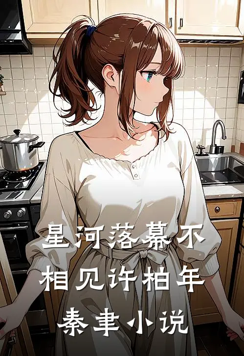 星河落幕不相见许柏年秦聿小说