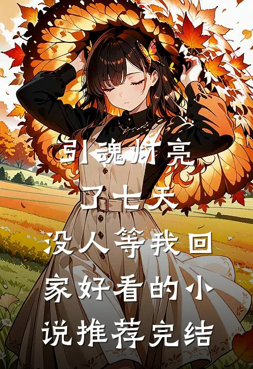 引魂灯亮了七天，没人等我回家好看的小说推荐完结