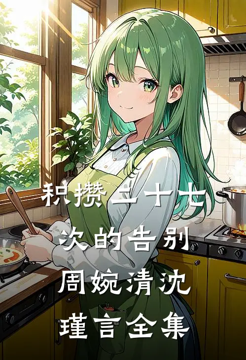 积攒二十七次的告别周婉清沈瑾言全集