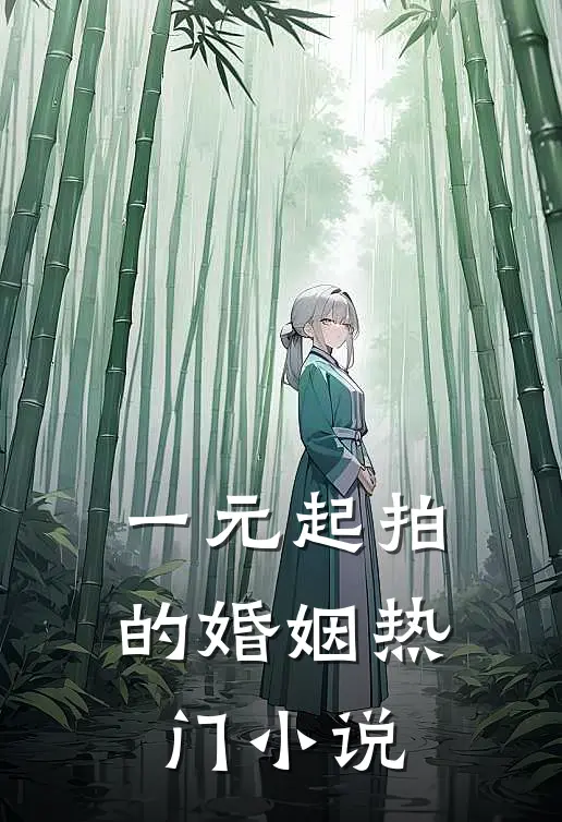 一元起拍的婚姻热门小说