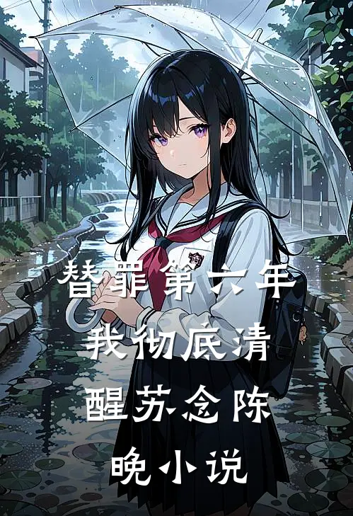 替罪第六年，我彻底清醒苏念陈晚小说