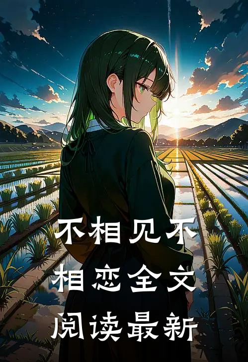 不相见不相恋全文阅读最新