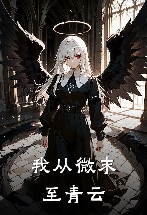 我从微末至青云