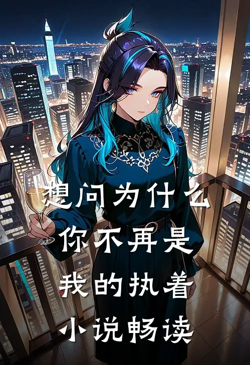 想问为什么，你不再是我的执着小说畅读