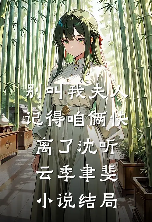 别叫我夫人，记得咱俩快离了沈听云季聿斐小说结局
