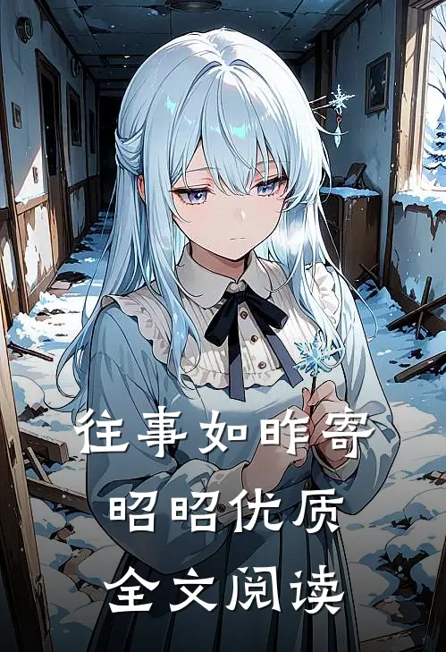 往事如昨寄昭昭优质全文阅读