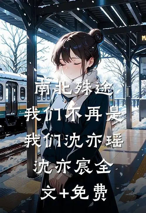 南北殊途，我们不再是我们沈亦瑶沈亦宸全文+免费
