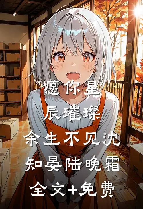 愿你星辰璀璨，余生不见沈知晏陆晚霜全文+免费