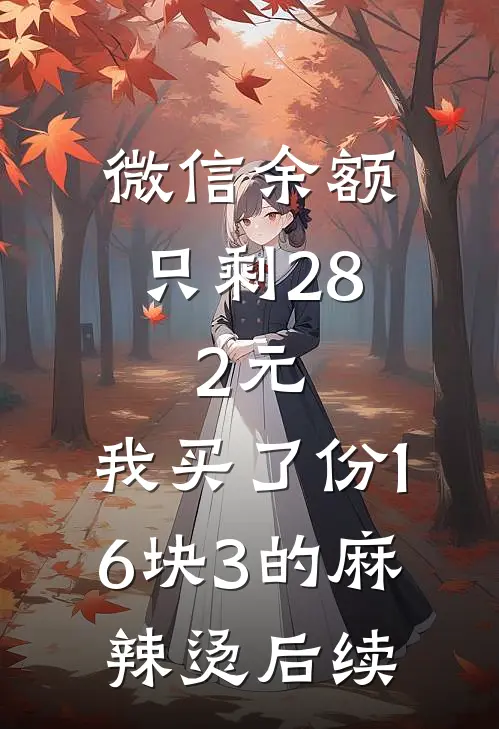 微信余额只剩28.2元，我买了份16块3的麻辣烫后续