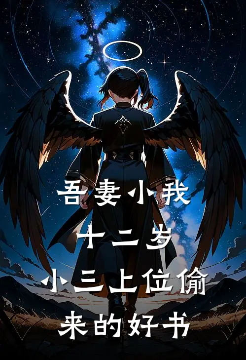 吾妻小我十二岁，小三上位偷来的好书