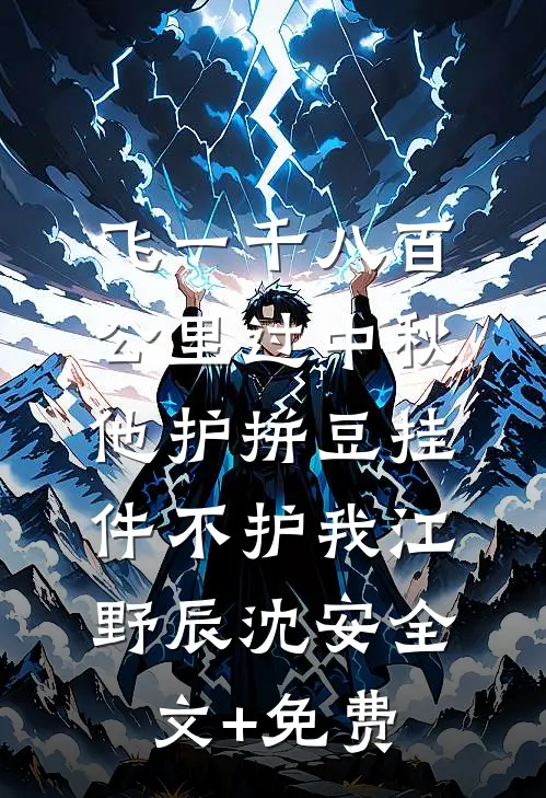 飞一千八百公里过中秋，他护拼豆挂件不护我江野辰沈安全文+免费