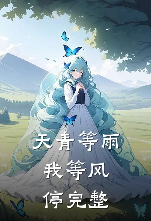天青等雨，我等风停完整