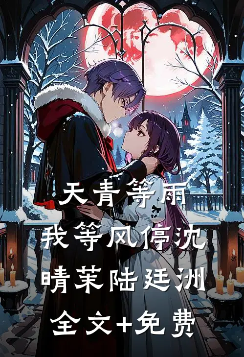 天青等雨，我等风停沈晴茉陆廷洲全文+免费