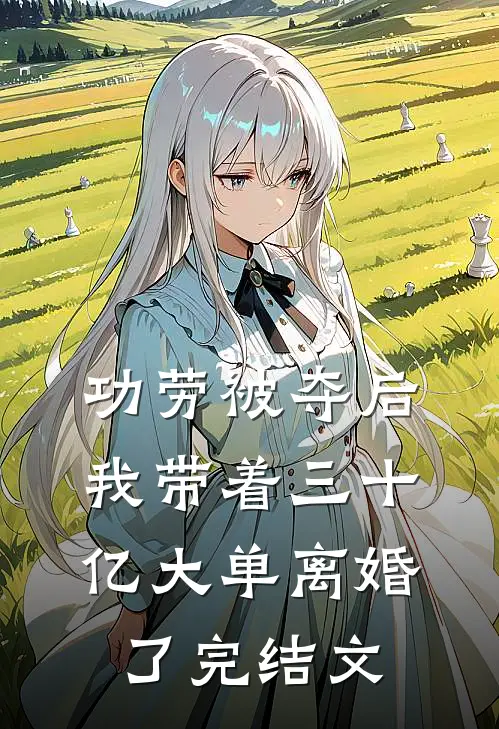 功劳被夺后，我带着三十亿大单离婚了完结文