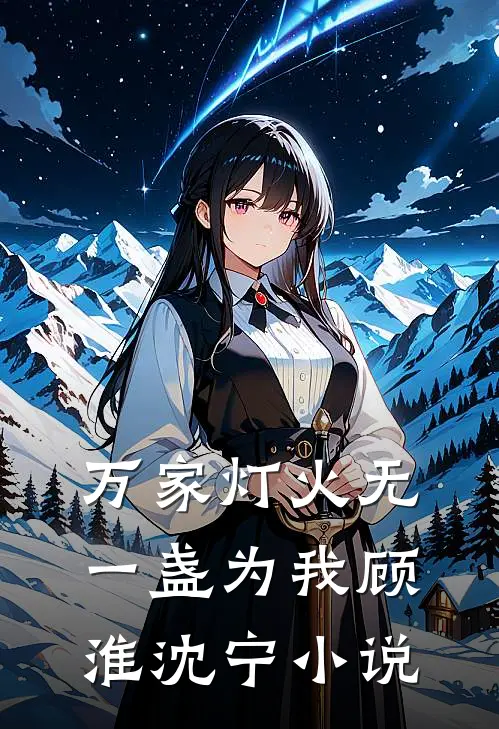 万家灯火无一盏为我顾淮沈宁小说