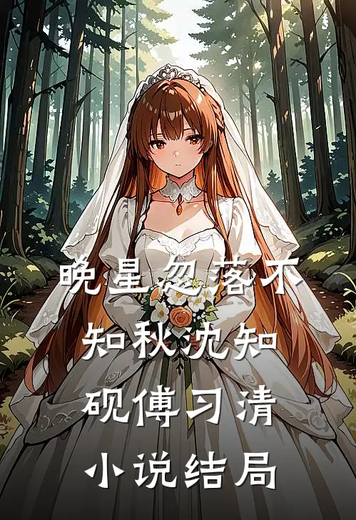 晚星忽落不知秋沈知砚傅习清小说结局