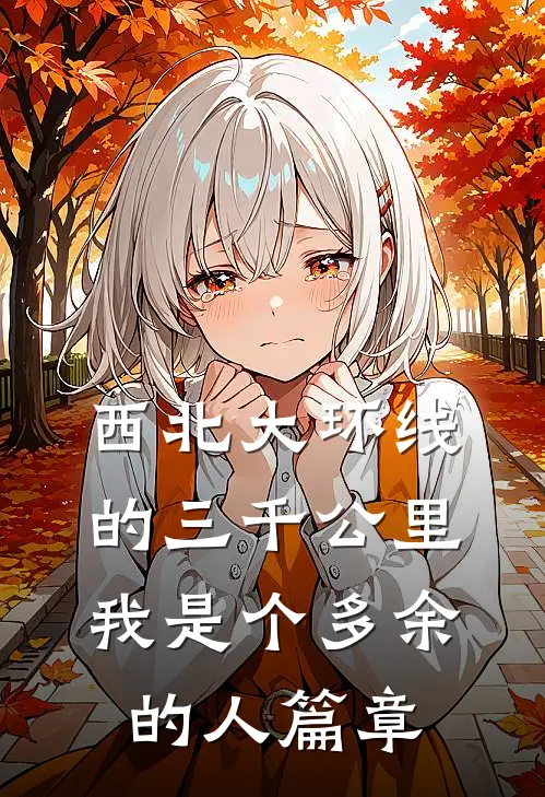 西北大环线的三千公里，我是个多余的人篇章