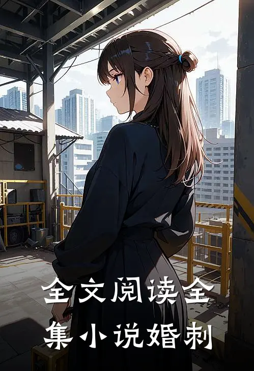 全文阅读全集小说婚刺