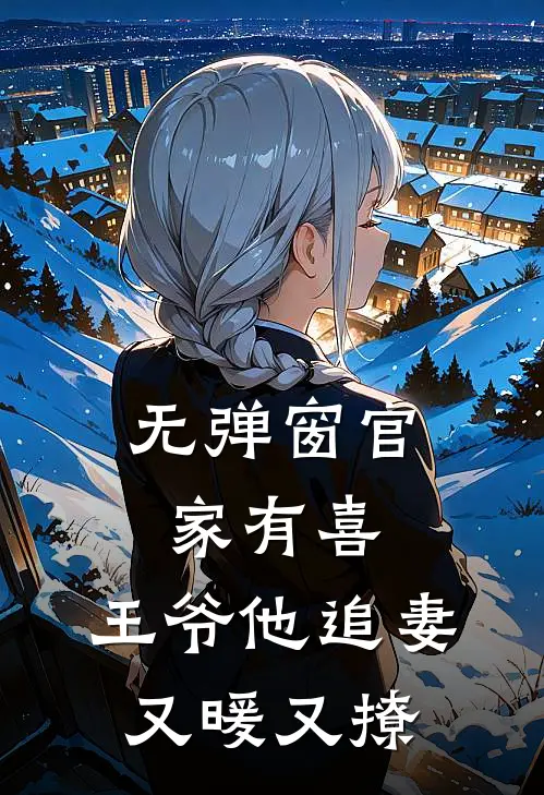 无弹窗官家有喜：王爷他追妻又暖又撩