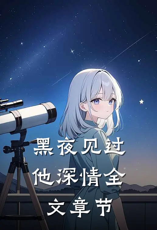 黑夜见过他深情全文章节