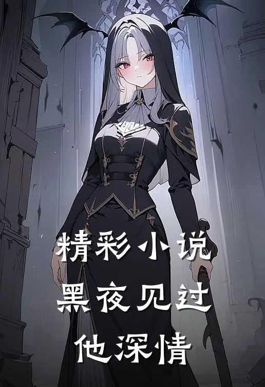 精彩小说黑夜见过他深情