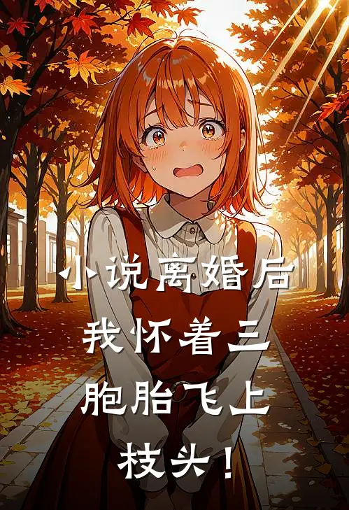 小说离婚后，我怀着三胞胎飞上枝头！