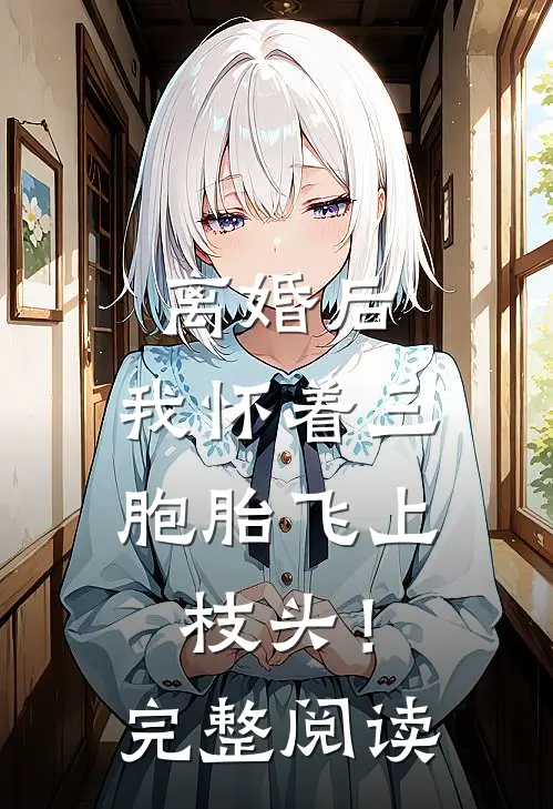 离婚后，我怀着三胞胎飞上枝头！完整阅读