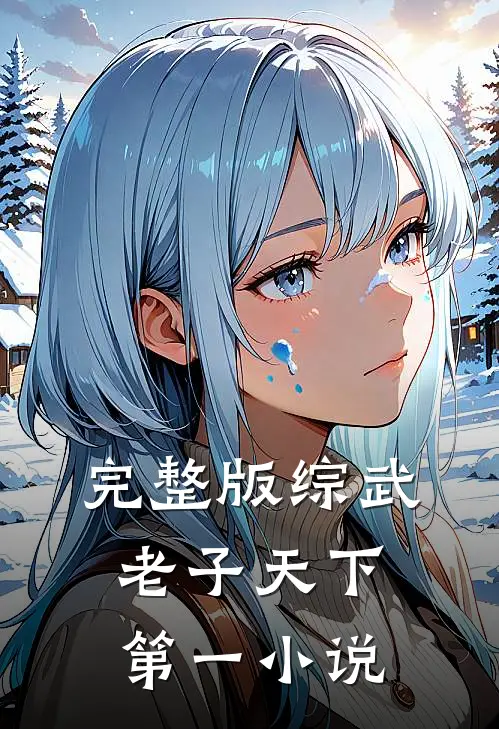 完整版综武：老子天下第一小说