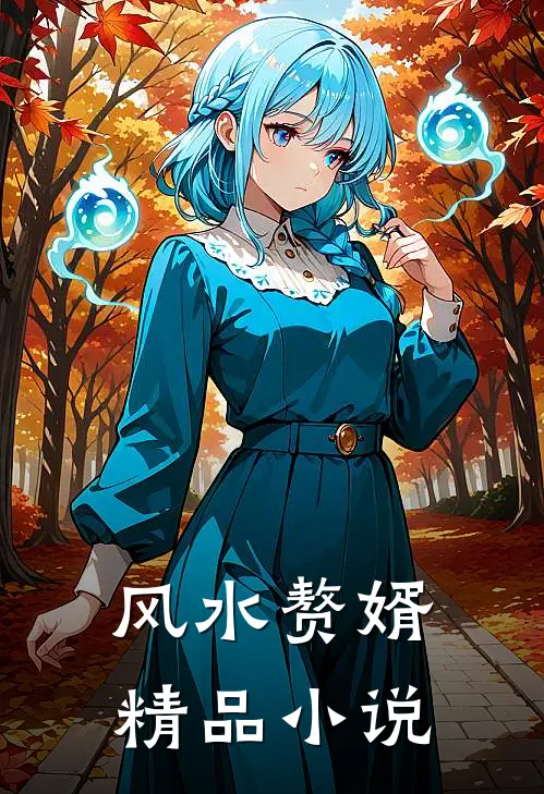 风水赘婿精品小说